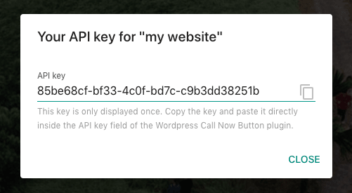 The newly created API key will appear in a modal