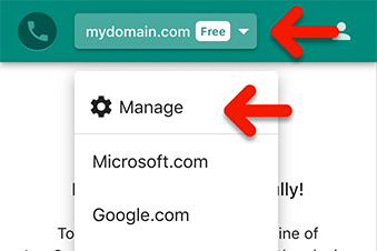 Access the domain settings via the 'manage' option in the the domain pulldown (mobile users).